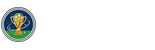 蜘蛛直播
